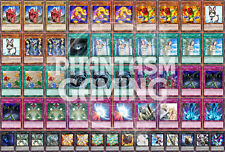 Mazzo Dino Coniglio Utopia