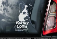 Adesivo auto Border Collie -