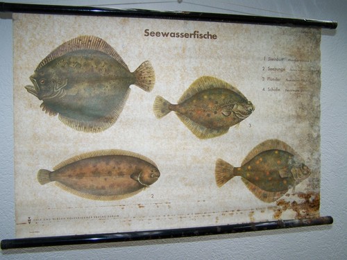 Vecchio lavagna didattica - lavagna,