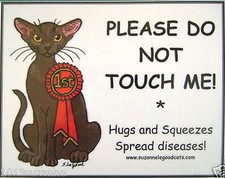 Burmese cat art show pen signs