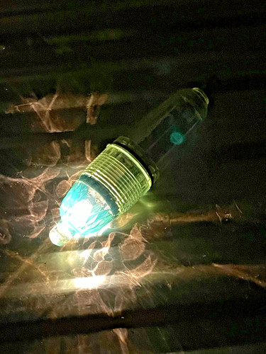 Vendita kousei luce - vendita, pesca