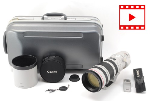 Top mint trunk canon - [top, ef