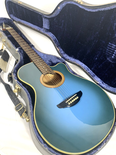 Chitarra elettrica acustica