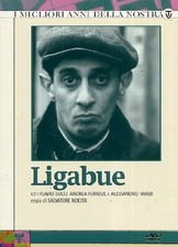 Ligabue (3 Dvd) RAI-ERI