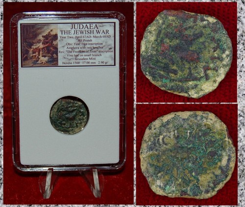 Moneta antica giudea guerra - moneta,