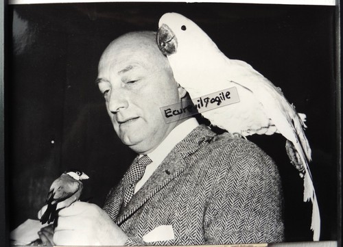 Photo presse 1964 salon des - photo,