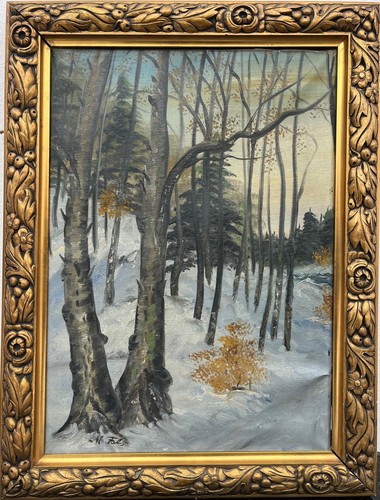 Paesaggio invernale - paesaggio,