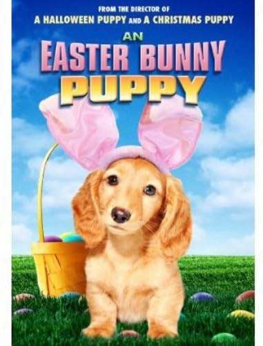 Easter bunny puppy - easter,