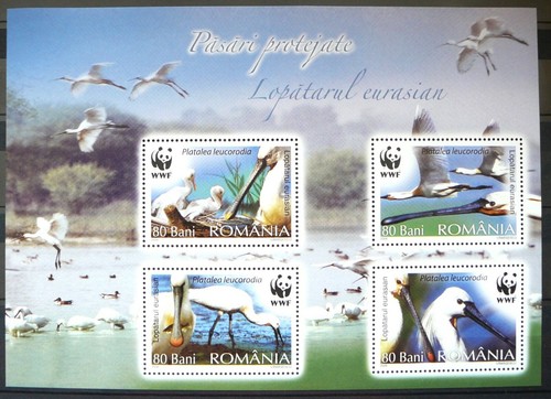 Foglio ricordo romania - ricordo,