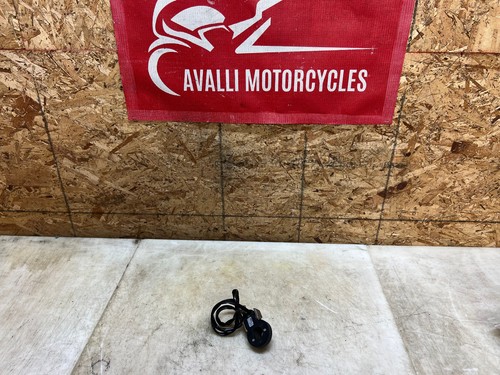2019 aprilia tuono - 2019,