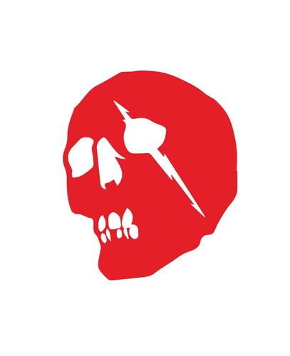 Adesivo logo snowboard logo