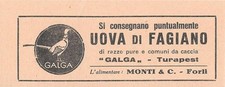 Uova di fagiano. Monti & C