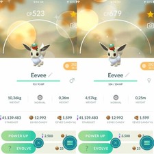 Pokemon Shiny Eevee Indossa Un