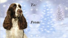 Etichette natalizie Springer