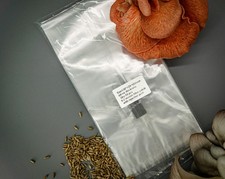 Sacchetto per coltivazione funghi con porta iniezione - a scelta - autoclavabile 13x12x50 cm