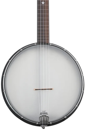 Gold tone 12fl banjo - gold,