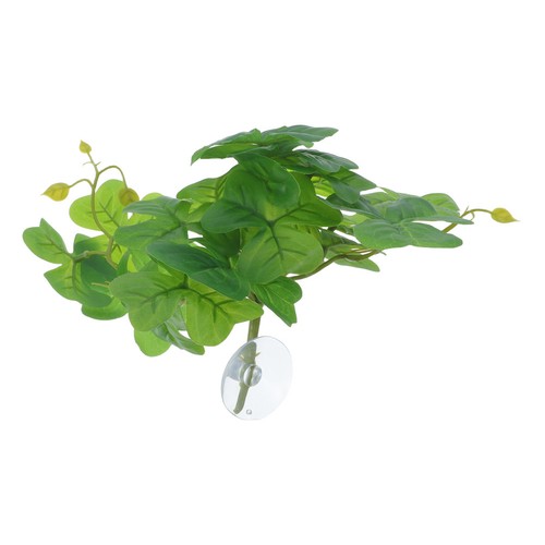 Piante per rettili verde - , rettili: