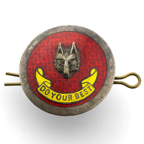 Vintage boy scouts wolf cubs - boy,