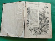 L'ILLUSTRAZIONE POPOLARE - GIORNALE PER LE FAMIGLIE - ANNATA 1897