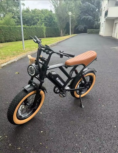 Bici elettrica hiqs stile - elettrica, moto