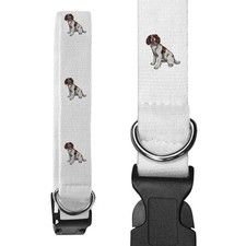 Collari per cani springer - collari,