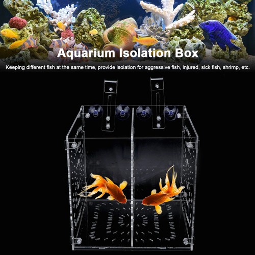 Zuchtbox für jungfische zur - für,