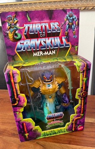 Turtles grayskull masters - of,