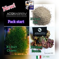 ✅NEW! Pack Avviamento Starter Acquario Marino Chaetomorpha + Dsb + Rocce Vive