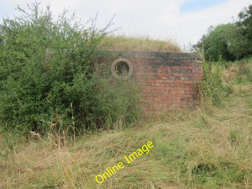 Photo 6x4 mystery object chew - photo,