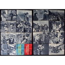 fotobuste LA CIOCIARA sophia loren sofia vittorio de sica belmondo cinema F124