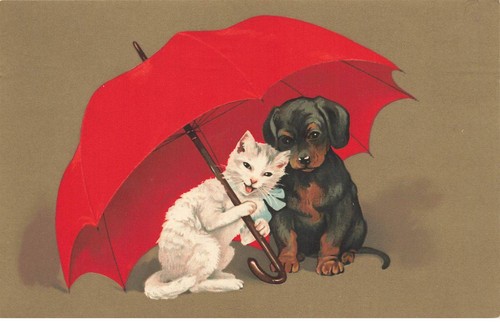 Gatti mk43618 gatto - gatto, un