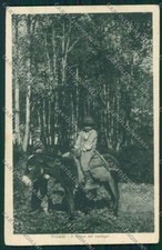 Frosinone Fiuggi Asino cartolina QK4149