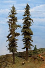 Due alberi di abete modello