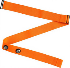 Fascia Cardio Toracica