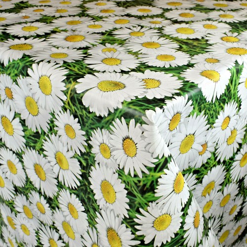 Tovaglia tela cerata - tovaglia,