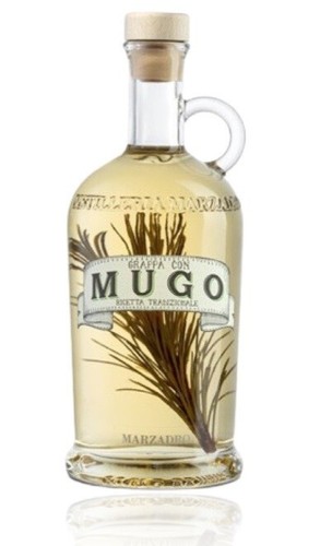 Grappa pino mugo marzadro - grappa,