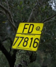 ⚠️Targhino INDISTRUTTIBILE