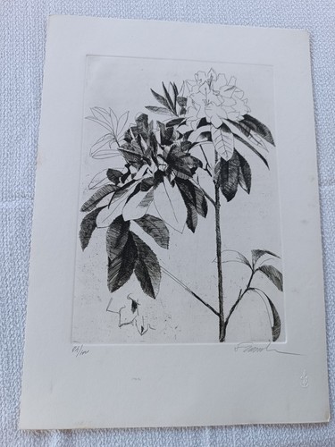Fraccalini luigi detto piero - detto,
