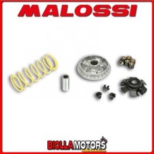 5113597 VARIATORE MALOSSI SYM