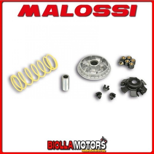 5113597 variatore malossi sym - variatore,