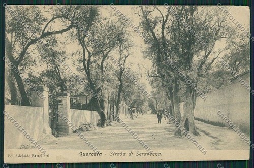Lucca seravezza querceta - lucca,