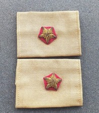 Coppia gradi tubolari anni '50/60 per camicia S.Tenente Medico  E.I. ottimi