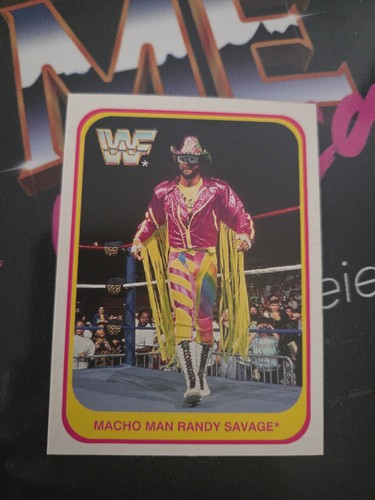Merlin wwe wwf macho man - merlin, randy