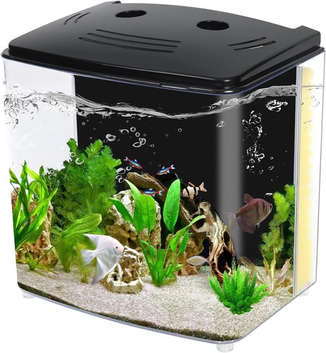 Kit avviamento desktop betta - kit,