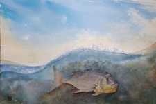 Quadro picture - quadro-picture,
