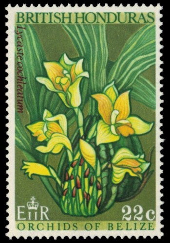 British honduras 228 - (sg270),