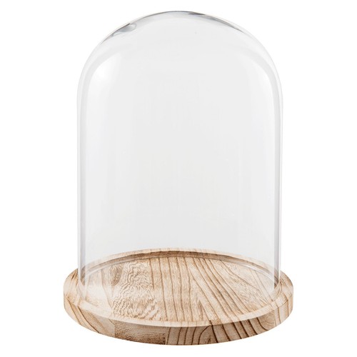 Espositore vetro cloche - espositore,