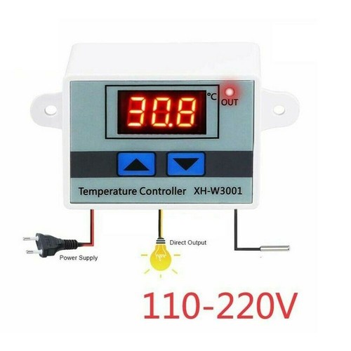 Incubatrice 110v regolatore - 110v, di