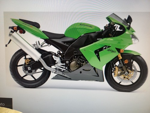 Codino coprisella kawasaki - coprisella,