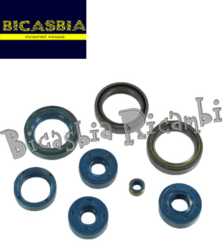 13233 serie paraoli motore - 13233,
